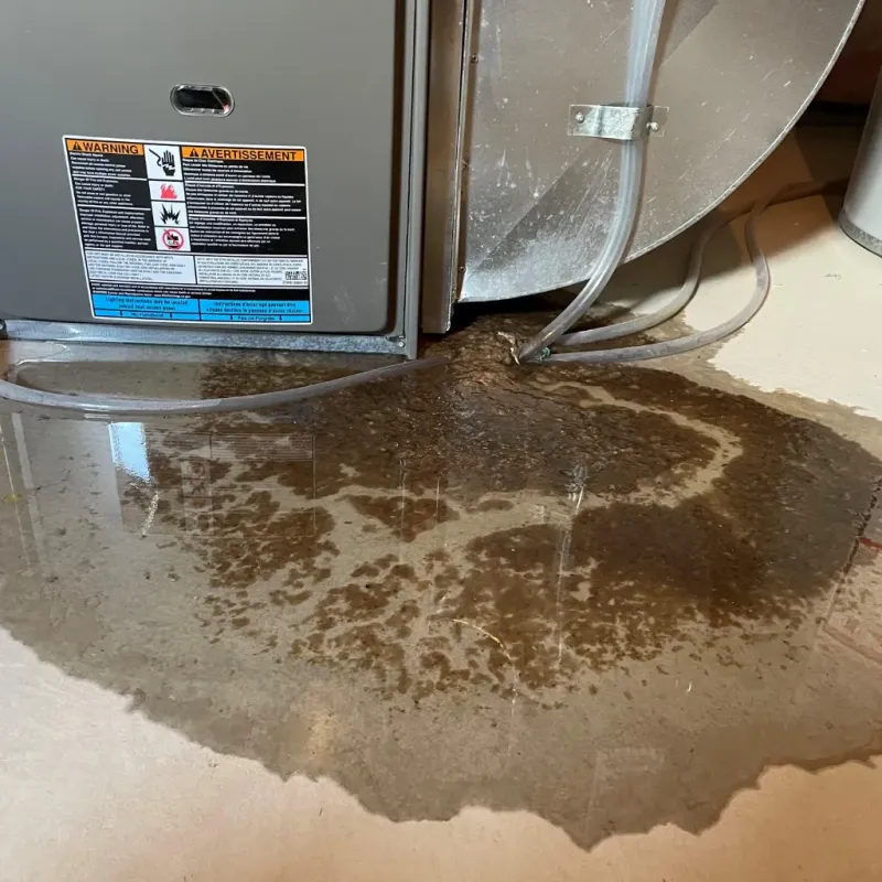 Appliance Leak Cleanup in Sharpsburg, NC